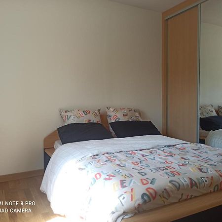 Super Appartement Avec Terasse Bischheim Kültér fotó